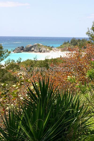IMG_JE.BE05.JPG - Horseshoe beach from South Road overlook, Bermuda