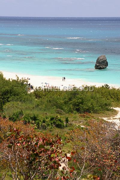 IMG_JE.BE08.JPG - Couple walking on Warwick Long Bay Beach, South Shore, Bermuda