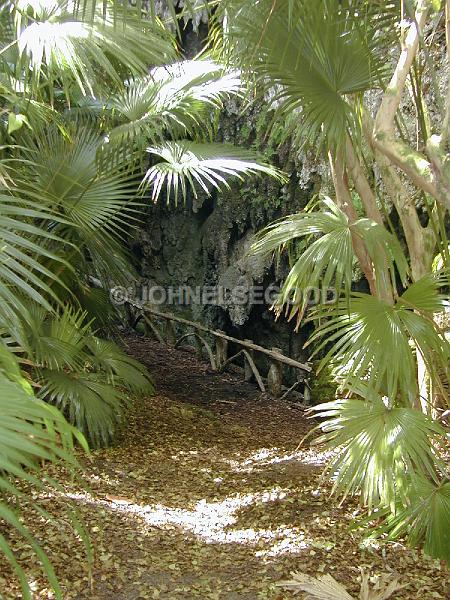 IMG_JE.CAV01.JPG - Cave Entrance, Blue Hole Park, Bermuda