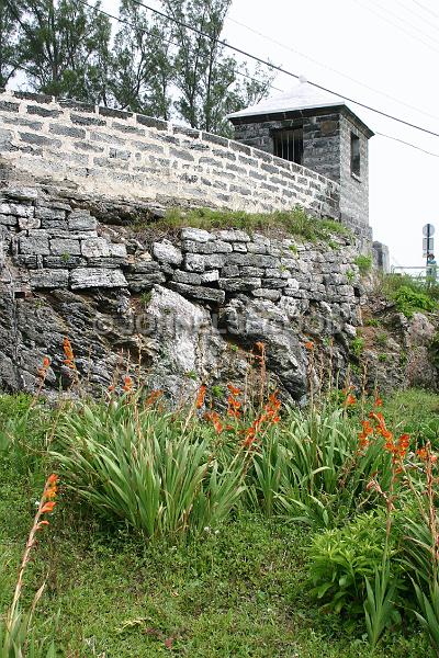 IMG_JE.DOC27.JPG - Old wall with flowers, Dockyard, Bermuda