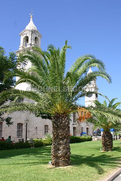 IMG_JE.DOC42.JPG - Palms in front of the Clocktower Shopping Mall, Dockyard, Bermuda