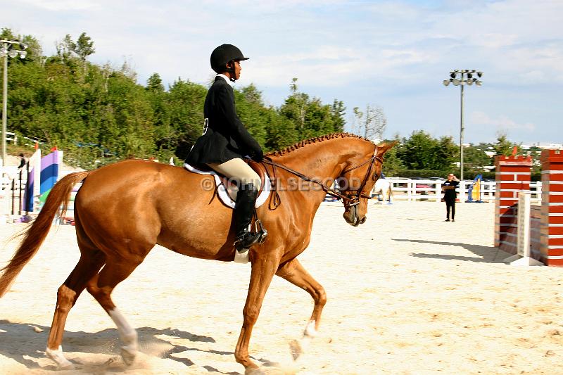 IMG_JE.EQ03.JPG - Showjumping, Equestrian Centre, Bermuda