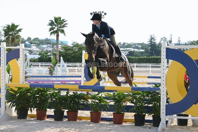 IMG_JE.EQ115.JPG - Showjumping, Equestrian Centre, Bermuda