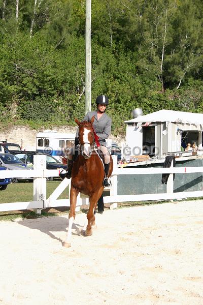 IMG_JE.EQ119.JPG - Showjumping, Equestrian Centre, Bermuda