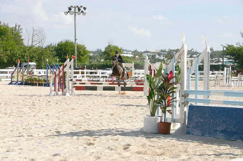 IMG_JE.EQ123.JPG - Showjumping, Equestrian Centre, Bermuda