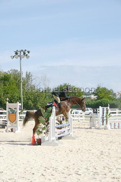 IMG_JE.EQ148.JPG - Showjumping, Equestrian Centre, Bermuda