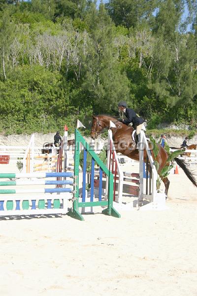 IMG_JE.EQ153.JPG - Showjumping, Equestrian Centre, Bermuda