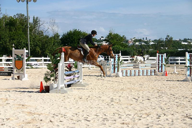 IMG_JE.EQ166.JPG - Showjumping, Equestrian Centre, Bermuda