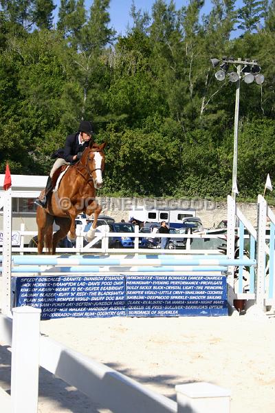 IMG_JE.EQ168.JPG - Showjumping, Equestrian Centre, Bermuda