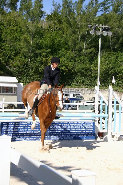 IMG_JE.EQ169.JPG - Showjumping, Equestrian Centre, Bermuda