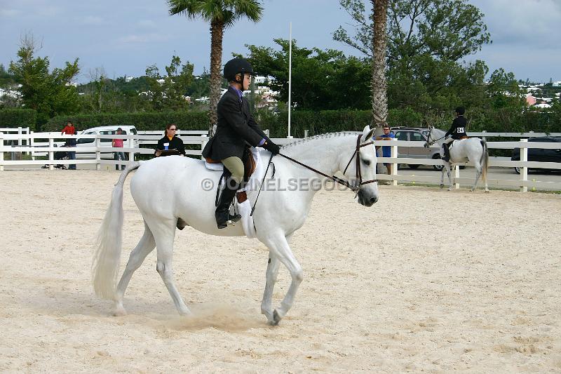 IMG_JE.EQ17.JPG - Young riders, Equestrian Centre, Bermuda