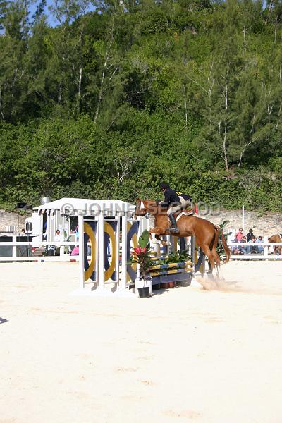 IMG_JE.EQ171.JPG - Showjumping, Equestrian Centre, Bermuda