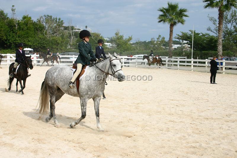 IMG_JE.EQ19.JPG - Young riders, Equestrian Centre, Bermuda