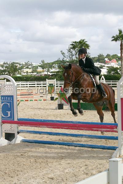 IMG_JE.EQ193.JPG - Showjumping, Equestrian Centre, Bermuda