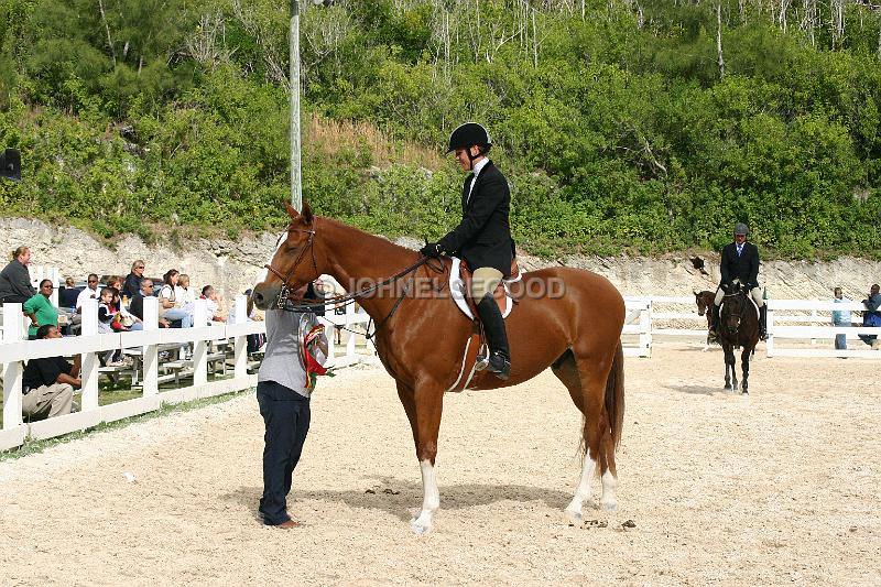 IMG_JE.EQ196.JPG - Showjumping, Equestian Centre, Bermuda