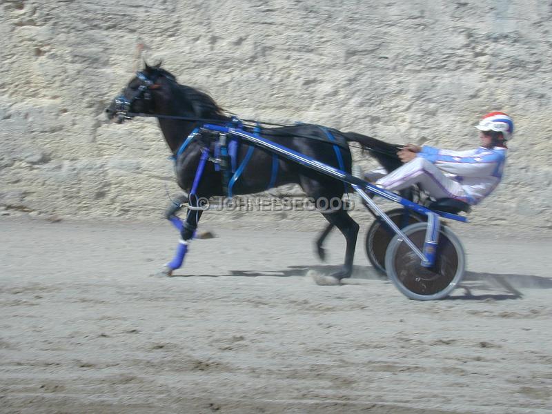 IMG_JE.EQ197.JPG - Pony Harness Racing, Equestian Centre, Bermuda