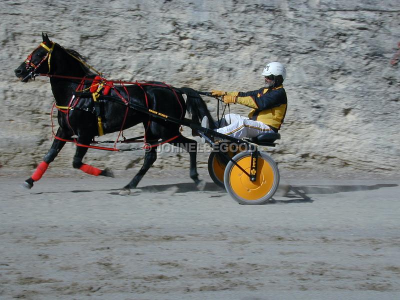 IMG_JE.EQ198.JPG - Pony Harness Racing, Equestian Centre, Bermuda