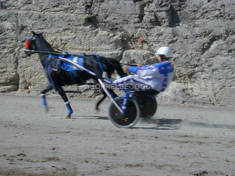 IMG_JE.EQ199.JPG - Pony Harness Racing, Equestian Centre, Bermuda