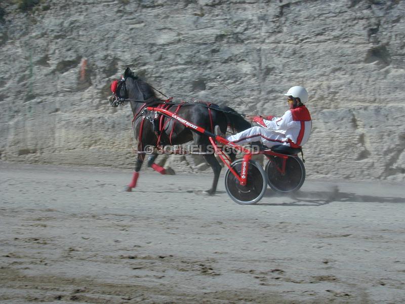 IMG_JE.EQ201.jpg - Pony Harness Racing, Equestian Centre, Bermuda