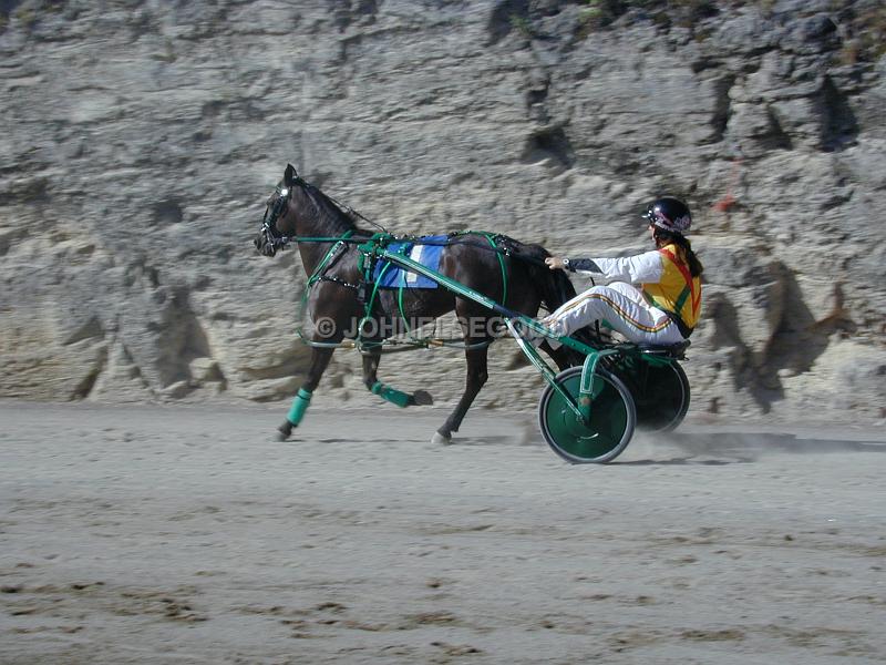 IMG_JE.EQ202.JPG - Pony Harness Racing, Equestian Centre, Bermuda