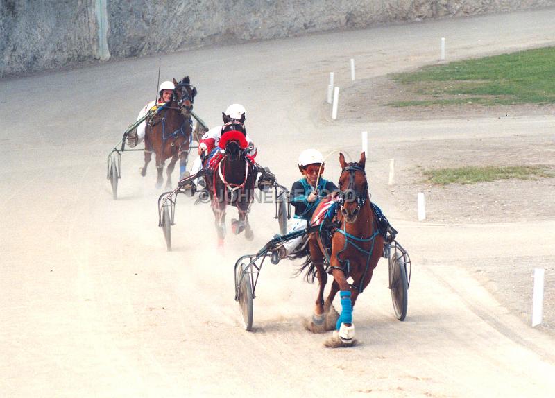 IMG_JE.EQ203.jpg - Pony Harness Racing, Equestian Centre, Bermuda