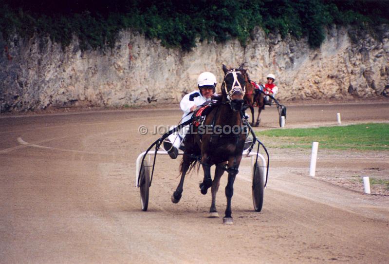 IMG_JE.EQ205.jpg - Pony Harness Racing, Equestrian Centre, Bermuda