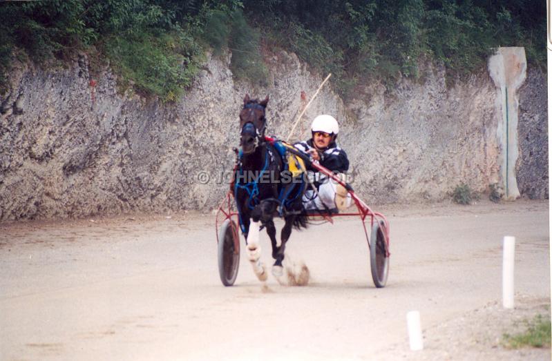 IMG_JE.EQ206.jpg - Pony Harness Racing, Equestrian Centre, Bermuda