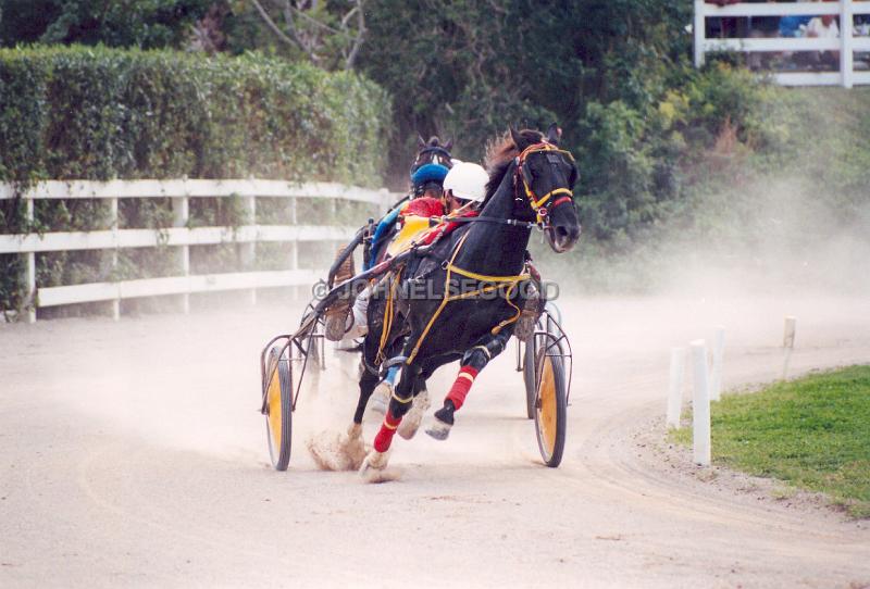 IMG_JE.EQ207.jpg - Pony Harness Racing, Equestrian Centre, Bermuda