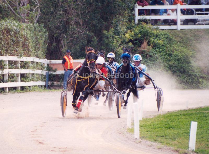 IMG_JE.EQ208.jpg - Pony Harness Racing, Equestrian Centre, Bermuda