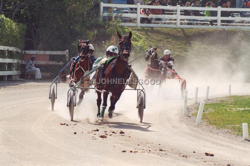 IMG_JE.EQ209.jpg - Pony Harness Racing, Equestrian Centre, Bermuda