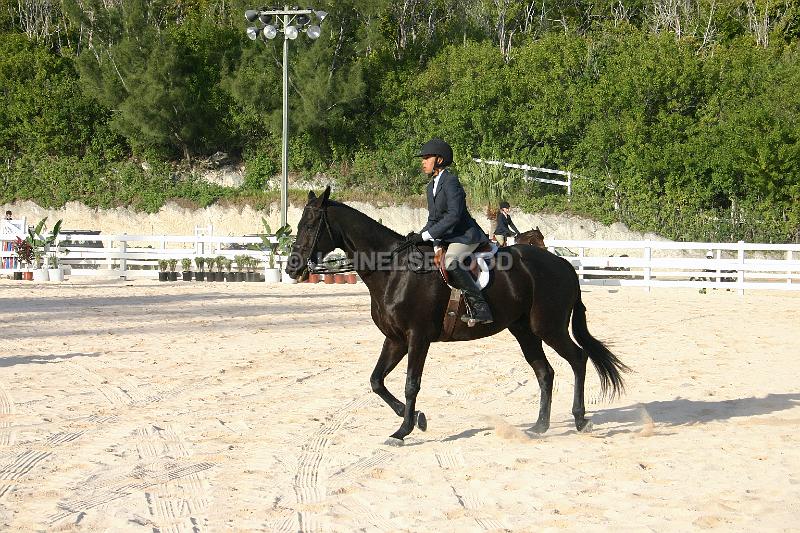 IMG_JE.EQ23.JPG - Showjumping, Equestrian Centre, Bermuda