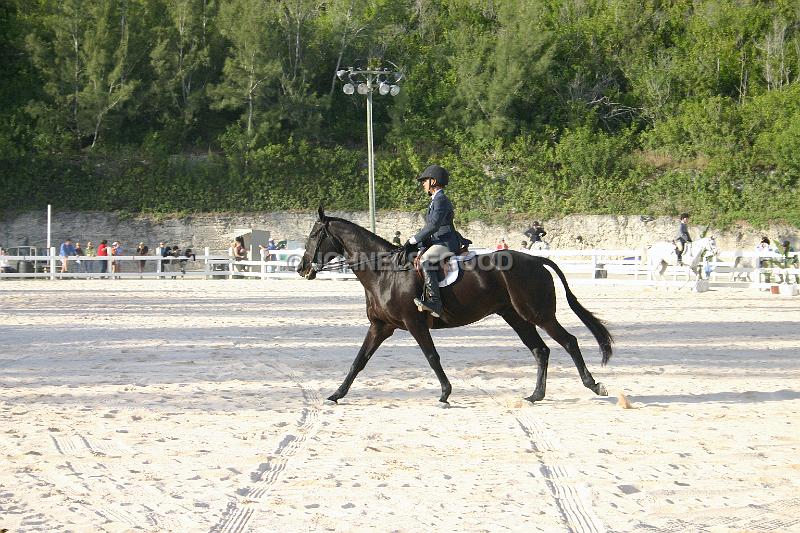 IMG_JE.EQ24.JPG - Showjumping, Equestrian Centre, Bermuda