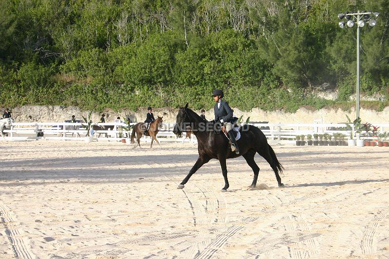 IMG_JE.EQ25.JPG - Dressage, Equestrian Centre, Bermuda