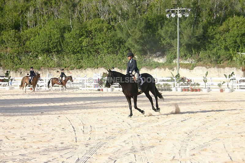 IMG_JE.EQ26.JPG - Dressage, Equestrian Centre, Bermuda