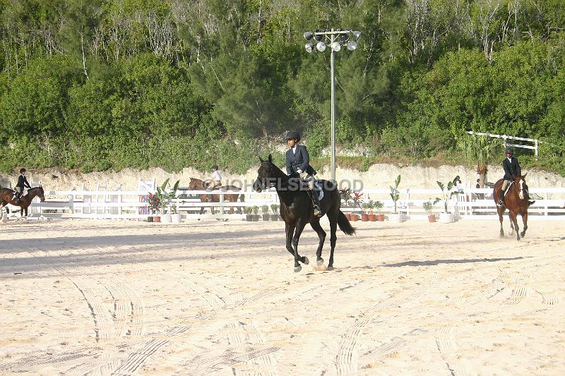 IMG_JE.EQ27.JPG - Dressage, Equestrian Centre, Bermuda