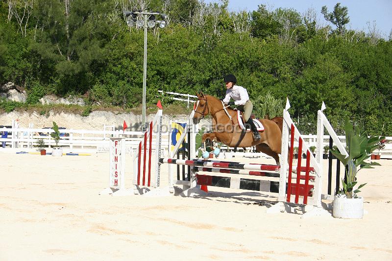 IMG_JE.EQ41.JPG - Showjumping, Equestrian Centre, Bermuda