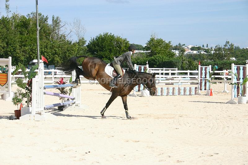 IMG_JE.EQ68.JPG - Showjumping, Equestrian Centre, Bermuda