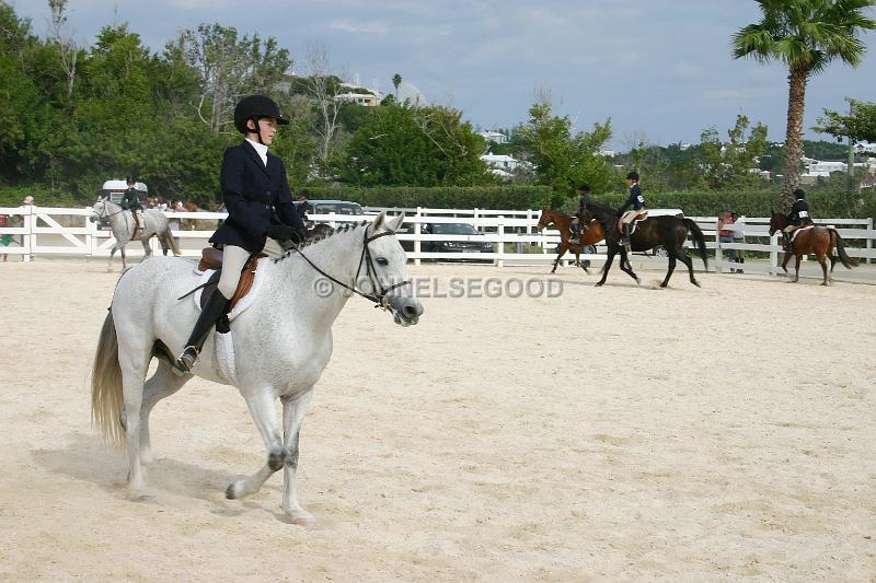 IMG_JE.EQ95.JPG - Dressage, Equestrian Centre, Bermuda