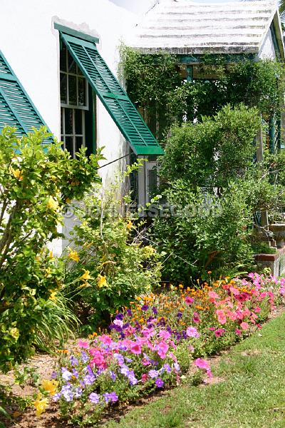 IMG_JE.FLO07.JPG - Flowers, Garden at Shrewsbury, Bermuda