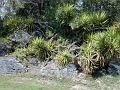 IMG_JE.FLO01