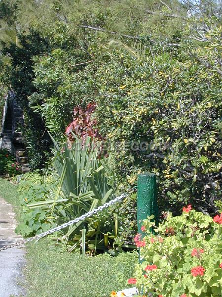 IMG_JE.GA05.JPG - Post and chain entrance, South Shore Road, Bermuda