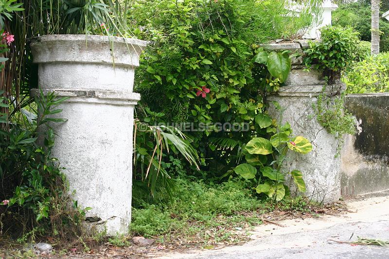 IMG_JE.GA11.JPG - Old overgrown gateposts in Somerset, Bermuda
