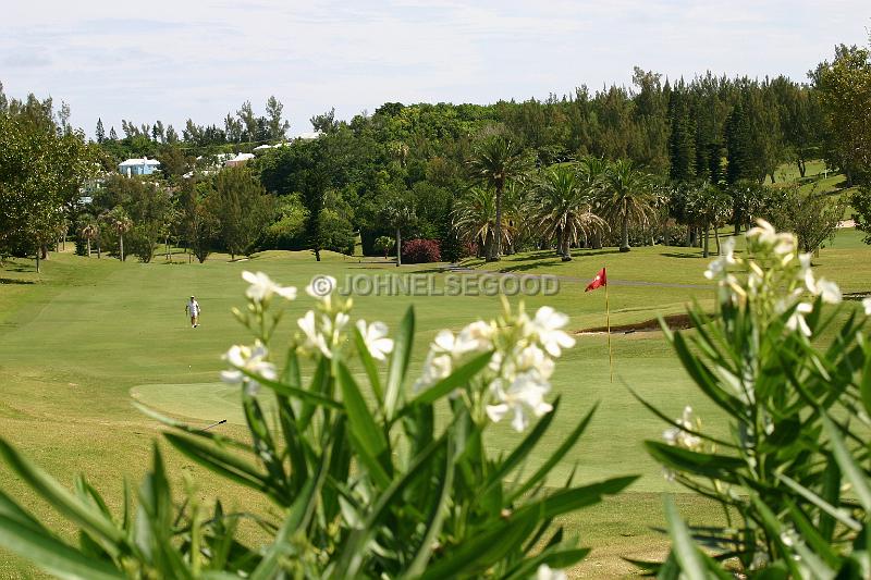 IMG_GO.PR31.JPG - Port Royal Golf Course, Bermuda