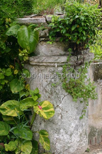 IMG_JE.GR04.JPG - Old overgrown gate post, Somerset, Bermuda