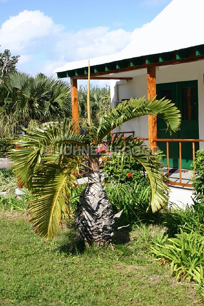 IMG_JE.HO18.JPG - Bermuda House and Lawn, Sothampton, Bermuda