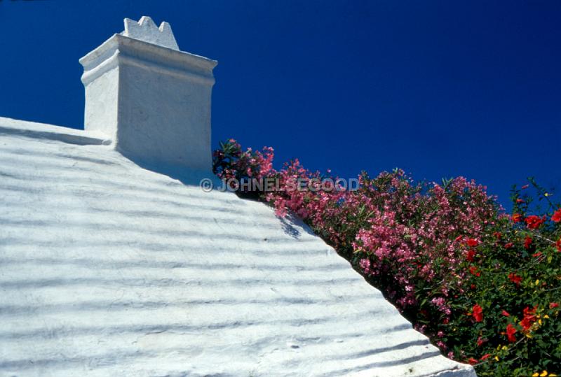 IMG_JE.HO61.jpg - Bermuda Roof with Oleanders and Hibiscus, Somerset, Bermuda