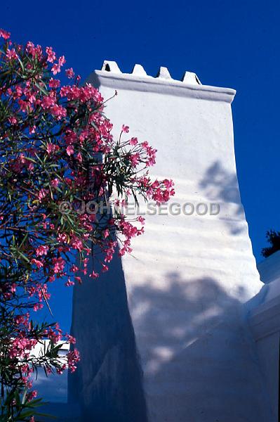IMG_JE.HO79.jpg - Oleanders and Architecture, Bermuda