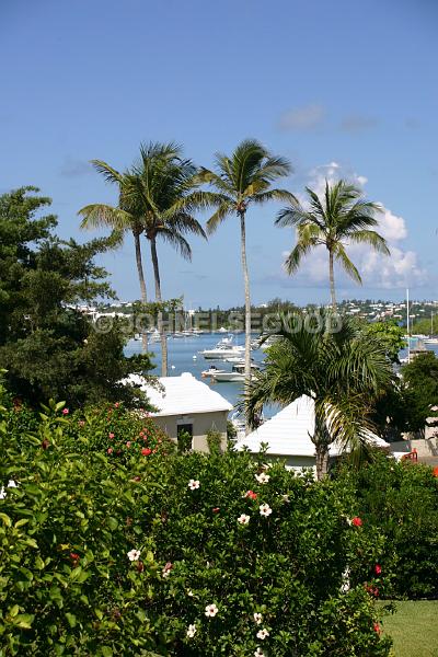 IMG_JE.SC01.JPG - Waterlot Gardens, Middle Road, Southampton, Bermuda