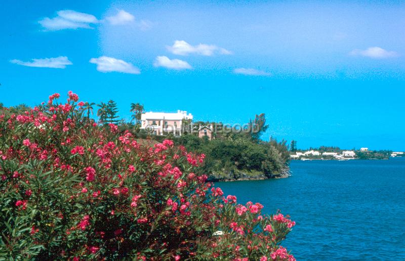 IMG_JE.SC30.jpg - View from Harbour Road, Paget, Bermuda