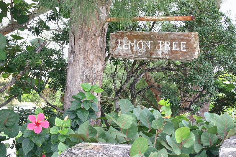 IMG_JE.SI01.JPG - Lemon Tree, House Sign, Southampton, Bermuda